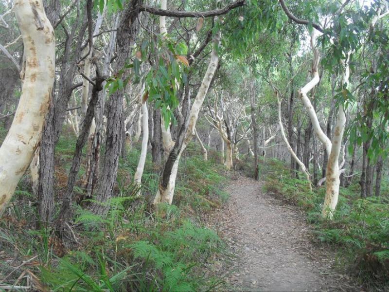 Sanddancers Bed & Breakfast In Jervis Bay Vincentia Exterior photo